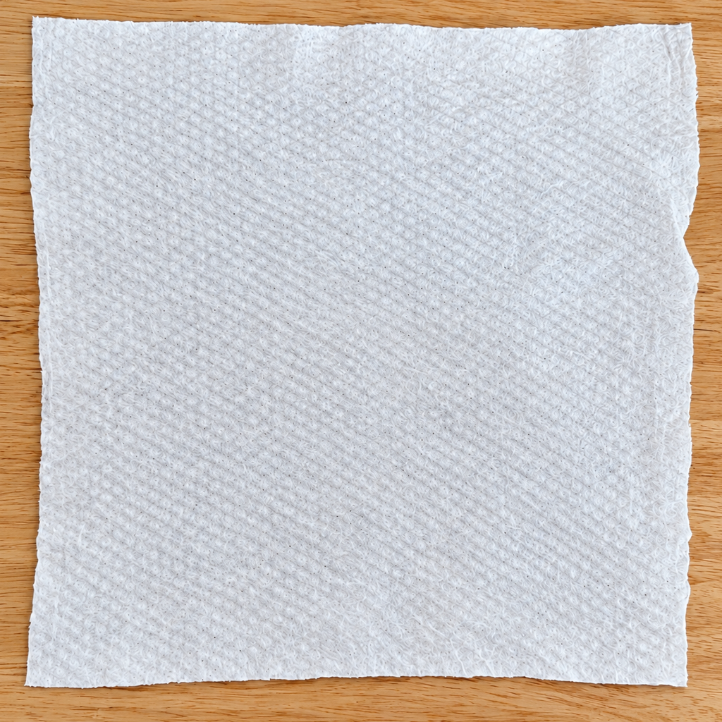 100 Compressed Towels/Wipes